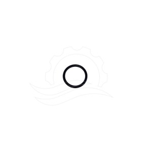 Cat 3CP NBR Pump Valve O-Ring (17547)