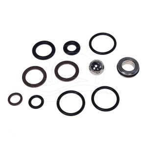PA Pulsar RV Pressure Regulator Repair Kit