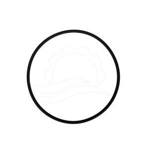 Dosatron D25RE2 dispenser cover O-ring (J042)