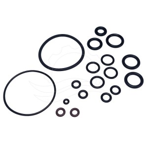 Seko Tekna Evo APG dosing pump seal kit