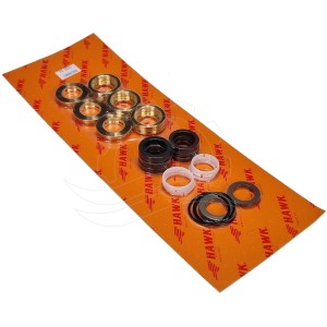 Hawk NMT CW Pump Seals with Rings (1.905-579.0)