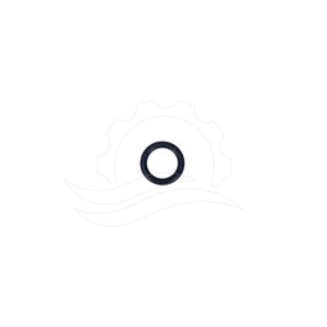 Cat 340/350 Pump Plunger Bolt O-Ring (17399)