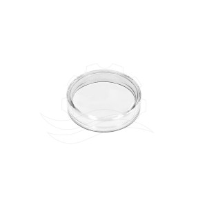 Lorenzo RM-E button glass