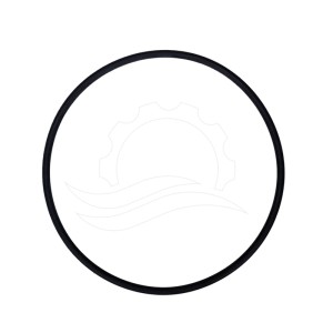 Mixrite dispenser lid o-ring (43)